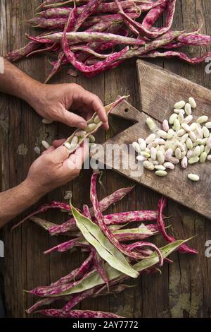 Die roten Bohnen mit Schale bemannen Stockfoto