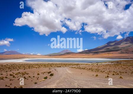 Altiplano Laguna in Sud Lipez reserva, Bolivien Stockfoto