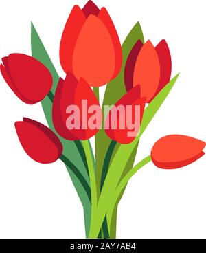 Festliche Vektor-Illustration mit Zweigen von Tulpenblüten und grünen Blättern. Bouquet von roten Tulpen isoliert auf weiß. Florales Frühlingsdessin. Begrüßung Stock Vektor