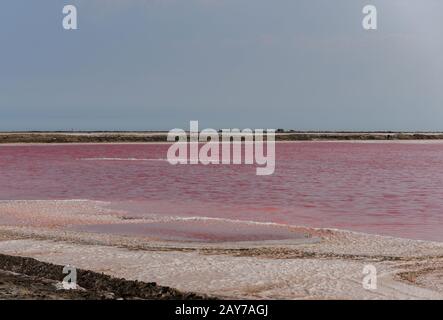 Rosa Wasserwerk des Salzes in Walvis Bay, Namibia Stockfoto