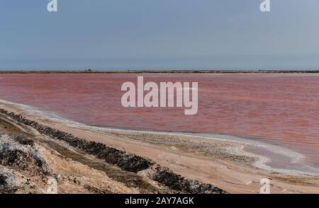 Rosa Wasserwerk des Salzes in Walvis Bay, Namibia Stockfoto