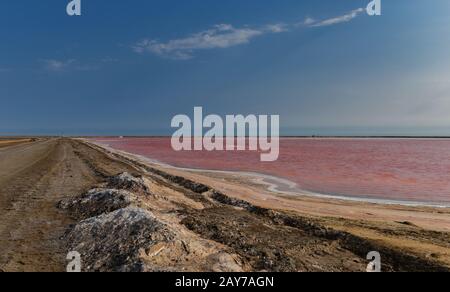 Rosa Wasserwerk des Salzes in Walvis Bay, Namibia Stockfoto