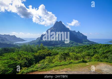 Luftansicht von Opunohu, Cook's Bay und Lagune auf Moorea Island Stockfoto