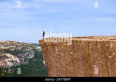 Einsamer Mann, der auf dem Felsen Preikestolen im Fjord Lysefjord - Norwegen steht Stockfoto