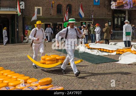 Alkmaar, Niederlande - 28. April 2017: Käseträger auf dem traditionellen Käsemarkt Stockfoto