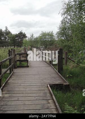 Holzboardspaziergang, gebaut, um sumpfiges Moorland in Dorset mit Holzzäunen zu überqueren, entweder Seitenbäume und Gras in der Ferne Stockfoto