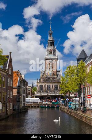 Alkmaar, Niederlande - 28. April 2017: Schwanenschwimmen am Kanal Stockfoto