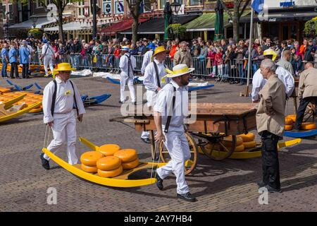 Alkmaar, Niederlande - 28. April 2017: Käseträger auf dem traditionellen Käsemarkt. Stockfoto