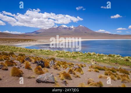 Altiplano Laguna in Sud Lipez reserva, Bolivien Stockfoto