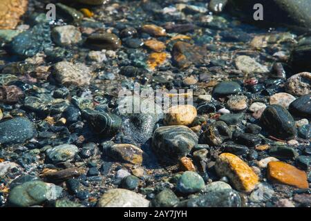 Kleine bunte Steine am Ufer eines Gebirgsstroms mit kristallklarem Gletscherwasser. Draufsicht. Stockfoto