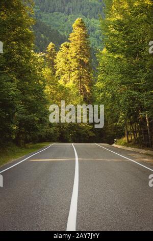 Die Autobahn in den Bergen führt durch den Wald Stockfoto