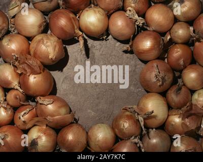 Frische Zwiebeln. Zwiebeln Hintergrund. Low Key Stockfoto