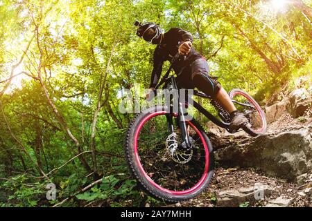 Sport. Ein Radfahrer mit einem Mountainbike-Rad im Wald Stockfoto