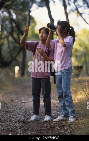 Austin Texas USA: Hispanische Mädchen beobachten Vögel beim Wandern im Wald. ©Bob Daemmrich Stockfoto