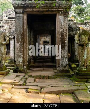Bild aus dem Tempel Preaha Khan, einem Teil des Archäologischen Parks Angkor Wat, Siem Reap, Kambodscha. Stockfoto