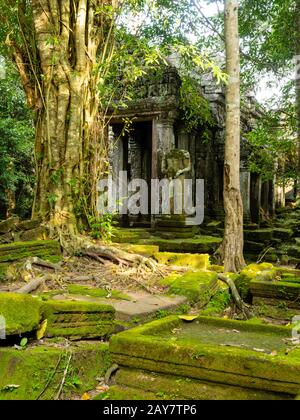 Bild aus dem Tempel Preaha Khan, einem Teil des Archäologischen Parks Angkor Wat, Siem Reap, Kambodscha. Stockfoto