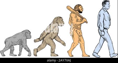 Die menschliche Evolution zu Zeichnen Stockfoto