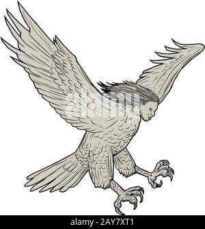 Harpy Swooping Zeichnung Stockfoto