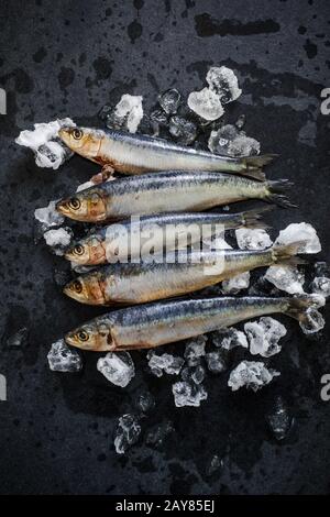 Frischer ganzer Fisch auf Eis Stockfoto