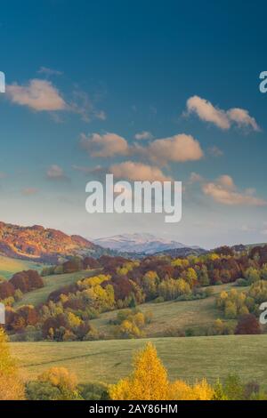 Lebendige Farben des Herbstes in der Wildnis der Karpaten, Bieszczady, Polen Stockfoto