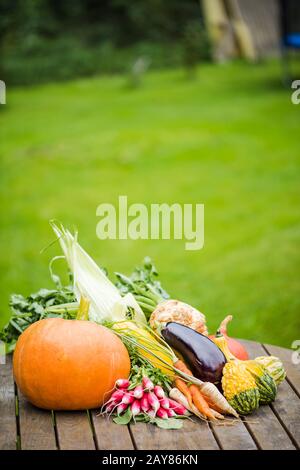 Frisch gepflegtes Gemüse auf Gartentisch Stockfoto