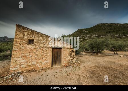 Ländliches Trockensteinhaus in Olivenbaum-Orchand Stockfoto
