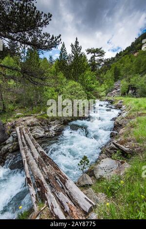 Umgestürzter Baumstamm, der über den Fluss querte Stockfoto