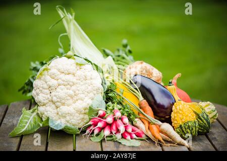 Frisch gepflegtes Gemüse auf Gartentisch Stockfoto