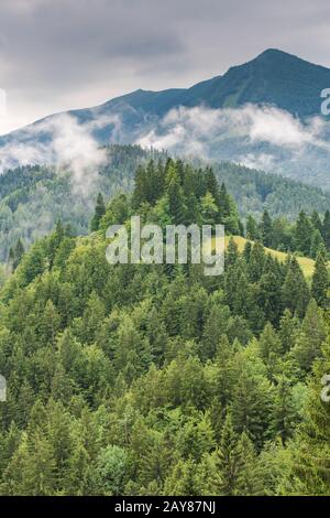 Berghang mit niedriger Wolke im Wald Stockfoto