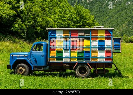 Farbenfrohe und lebendige Bienenkörbe auf dem alten LKW in Slowenien Stockfoto