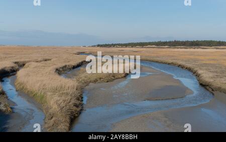 Der Strand von Sankt Peter-Ording an der Nordsee Stockfoto