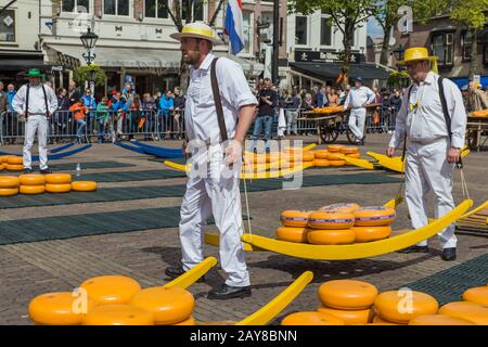 Alkmaar, Niederlande - 28. April 2017: Käseträger auf dem traditionellen Käsemarkt Stockfoto