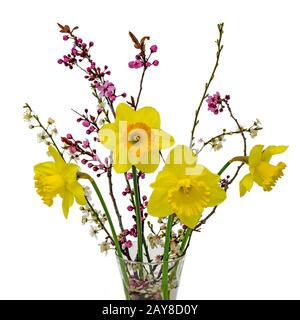 Blumenstrauß aus gelben Narben mit Mirabellblüten in einer Vase isoliert auf Weiß Stockfoto