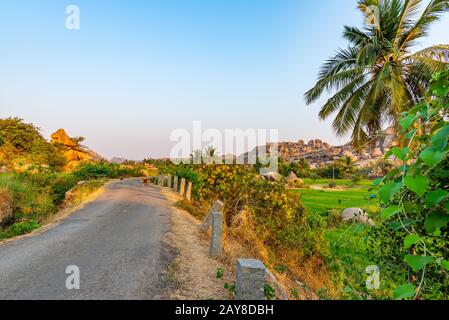 Kleine Straße, Hunde und Reisfelder in der Nähe der antiken Stadt Hampi, bei Sonnenaufgang ohne Menschen, Indien Stockfoto