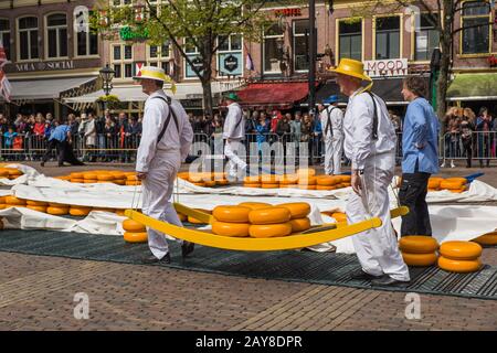 Alkmaar, Niederlande - 28. April 2017: Käseträger auf dem traditionellen Käsemarkt Stockfoto