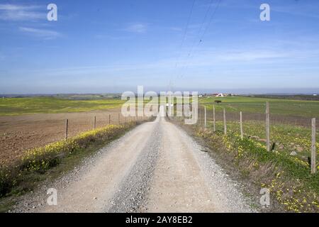 Apariça, Alentejo, Beja, Portugal Stockfoto