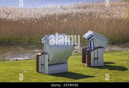 Liegen hinter dem Schilf am Neuensener See Stockfoto