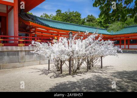 Omikuji Baum an Heian Jingu Shrine Temple, Kyoto, Japan Stockfoto