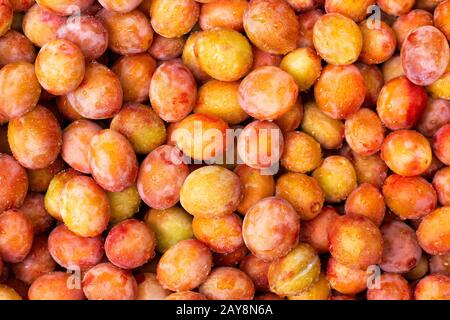 Frische gelbe Pflaumen. Essen. Von oben natürliche Textur. Makrofoto. Image Fruit Produkt. Nahaufnahme. Reife Früchte, die im Herbst geerntet wurden. Hintergrund aus organischem Stockfoto