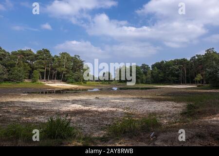 Getrockneter See im Buurserzand Naturreservat, Niederlande Stockfoto