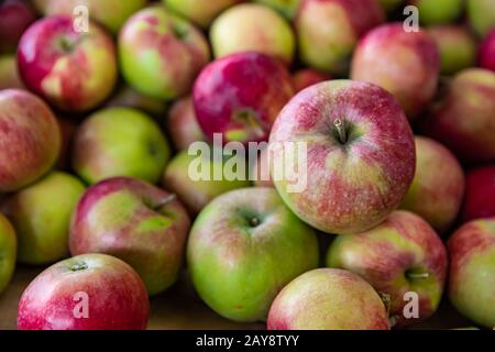 Nahaufnahme von wunderschönen Äpfeln, die auf dem lokalen Lebensmittelmarkt verkauft werden. Rote und grüne glänzende Schale, die knackig und saftig aussieht. Stockfoto