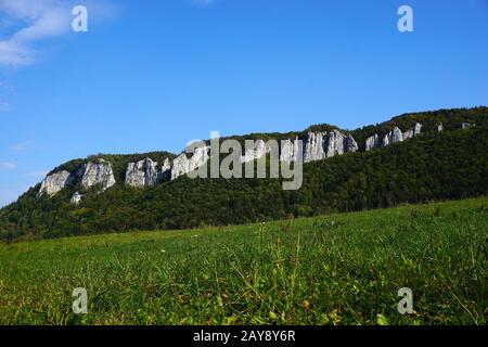 donautal, obere donau, Naturpark, schwäbische alpen, deutschland, Kalkfelsen Stockfoto