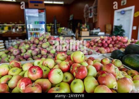 Close up of neatly arranged container filled with crisp yellow and red apples. Many other apples in the background, Shop interior. Stockfoto