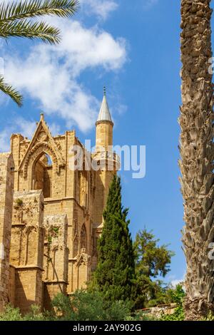 Die mittelalterliche Kathedrale des heiligen Nikolaus (Lala Mustafa Pascha-Moschee) hinter Palmen Stockfoto