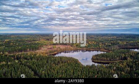 Landschaft im Herbst Stockfoto