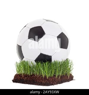 Klassischer Soccerball auf einer Wiese Stockfoto