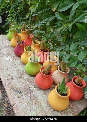 Bunte Blumentöpfe mit Kakteen saftige Pflanzen in einem Garten in Lefka, Zypern. Stockfoto