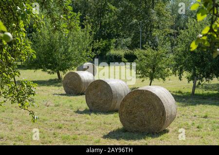 Heuballen im Sommer auf großer Wiese mit blauem Himmel und weißen Wolken. Stockfoto