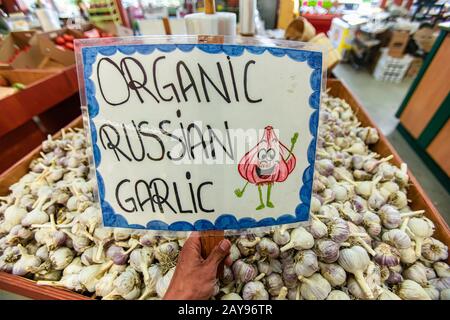 Russischer Knoblauch auf dem lokalen Lebensmittelmarkt erhältlich. Handschriftlich plastifiziertes Schild. Zeichnung des fröhlichen und lächelnden Knoblauchkopfs, der die Hände winkt. Stockfoto