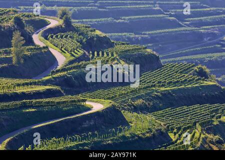 Kaiserstuhl ist ein Tal in Deutschland mit vielen wunderschönen Landschaften Stockfoto